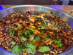 -红牌美蛙鱼头火锅(万辉国际广场店)