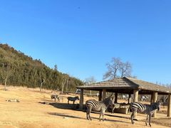 -杭州野生动物世界