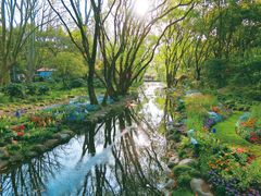 -上海共青森林公园