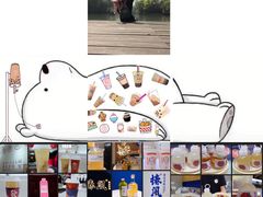 -炖物24章·顺时轻养茶(杭州保利时光里店)