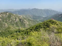 -大岭沟猕猴桃谷风景区