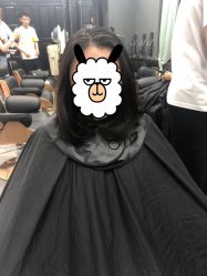 -Tipo Hair salon（明星）店