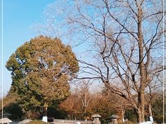 -南京市江宁方山