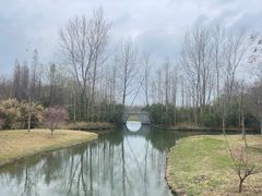 -溱湖国家湿地公园