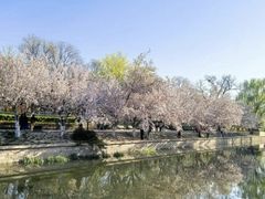 -元大都城垣遗址公园