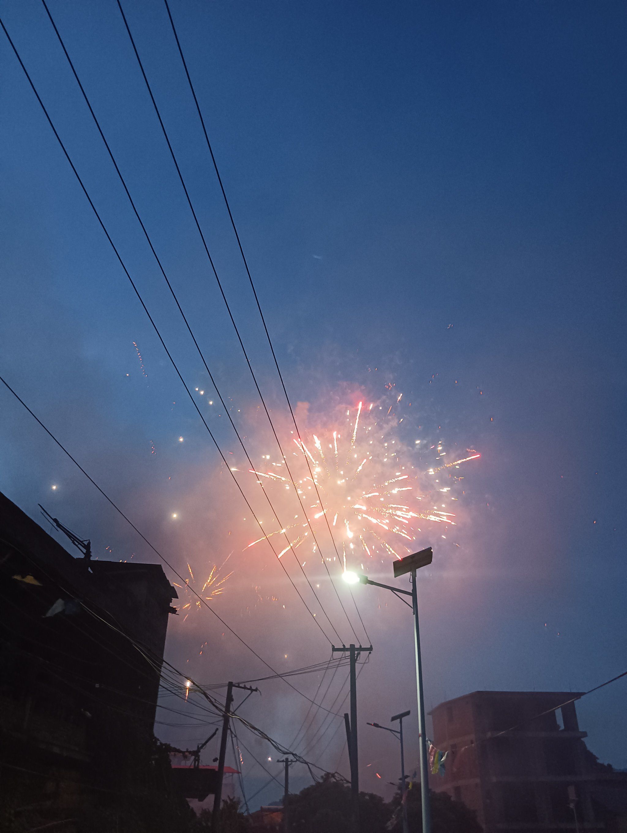 夜空中最耀眼的烟花·大学之花