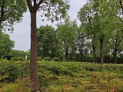 -狼山风景名胜区