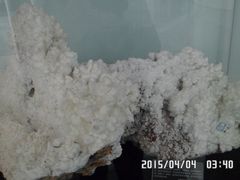 -中国第四纪冰川遗迹陈列馆
