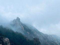 -崂山巨峰游览区