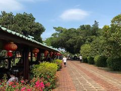 -侯臣咖啡文化村