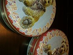 -珍妮曲奇聪明小熊(尖沙咀店)
