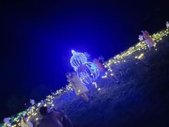 -北纬44度·金珠花海休闲农业旅游景区