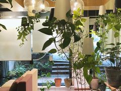 -柴务处·柴犬主题狗咖