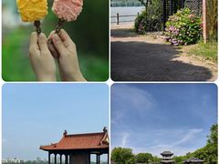 -无锡蠡湖国家湿地公园-蠡园