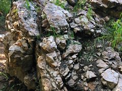 -沈阳辉山风景区