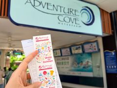 -新加坡水上探险乐园