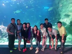 -悉尼海洋生物水族馆