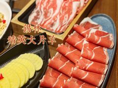 -快乐小羊·内蒙牛羊肉火锅(流花中心店)