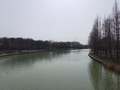 -同里国家湿地公园