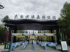 -黄海国家森林公园