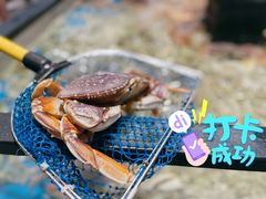 珍宝蟹-盒马鲜生(皇庭广场店)