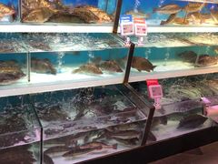 -盒马X会员店(王府井奥莱UP TOWN店)