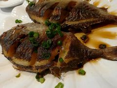 -强记海鲜·大排档(蛇口新街店)