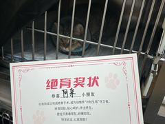-宠颐生斯嘉宠物医院·急重症·心内科(谷阳北路分院)
