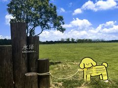-omitofee咖啡(水泽店)