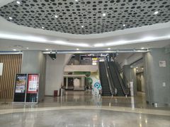 -中国宋庆龄青少年科技文化交流中心