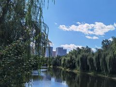 -长春公园(普阳街道)