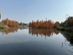 -白鹭湾湿地公园