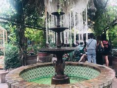 -The Grounds of Alexandria