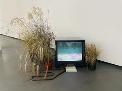 -上海外滩美术馆