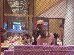 -杨氏青龙虾·羊蝎子(托乐嘉店)