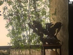 -新紫霞养生·影院足道·SPA(金山区店)