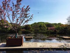 -白马涧龙池景区
