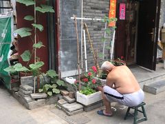 -百花深处胡同