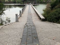 -荆川公园