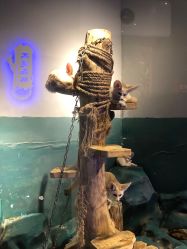 -未来动物城动物主题公园(大悦城店)