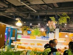 -明洞轩正统韩国自助烤肉大渡口店(新天泽国际广场店)