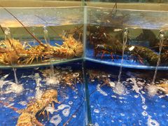 水产区-海景壹号大酒店(滨湖店)