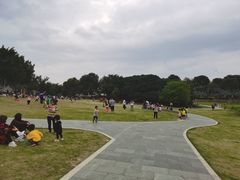 -艾米稻香小镇