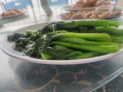 -七鲜渔港美食餐厅(巽寮湾海景店)