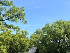 -热田神宫
