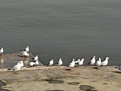 -东疆建设开发纪念公园