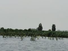 -白洋淀景区