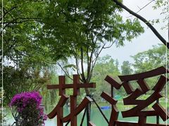 -花溪公园