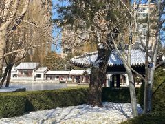 -团结湖公园