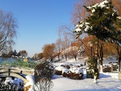 -莫子山公园